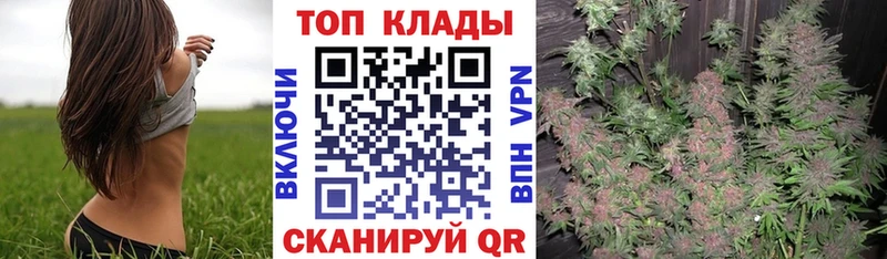 Где купить наркоту Черняховск ГАШИШ  Cocaine  БУТИРАТ  Меф 