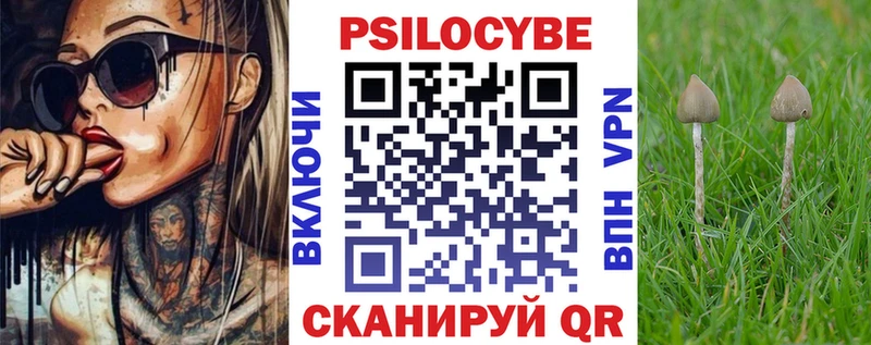 магазин продажи наркотиков  KRAKEN рабочий сайт  Галлюциногенные грибы Magic Shrooms  Черняховск 
